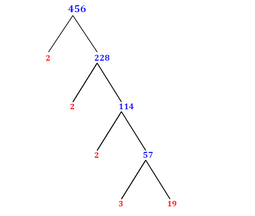 prime-factorization-of-456-with-a-factor-tree-mathondemand